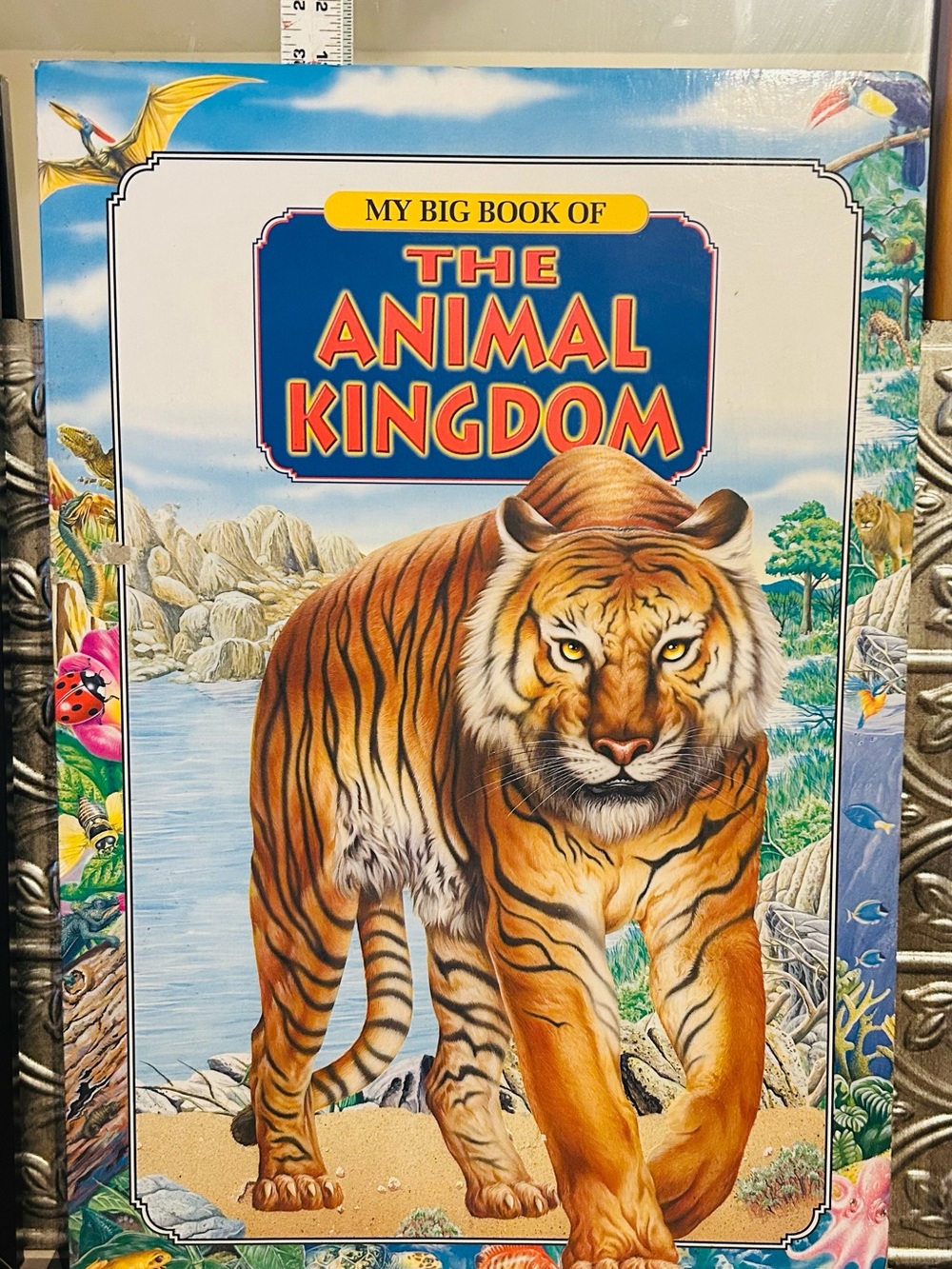 of The Animal Kingdom - Orange Tiger Cover